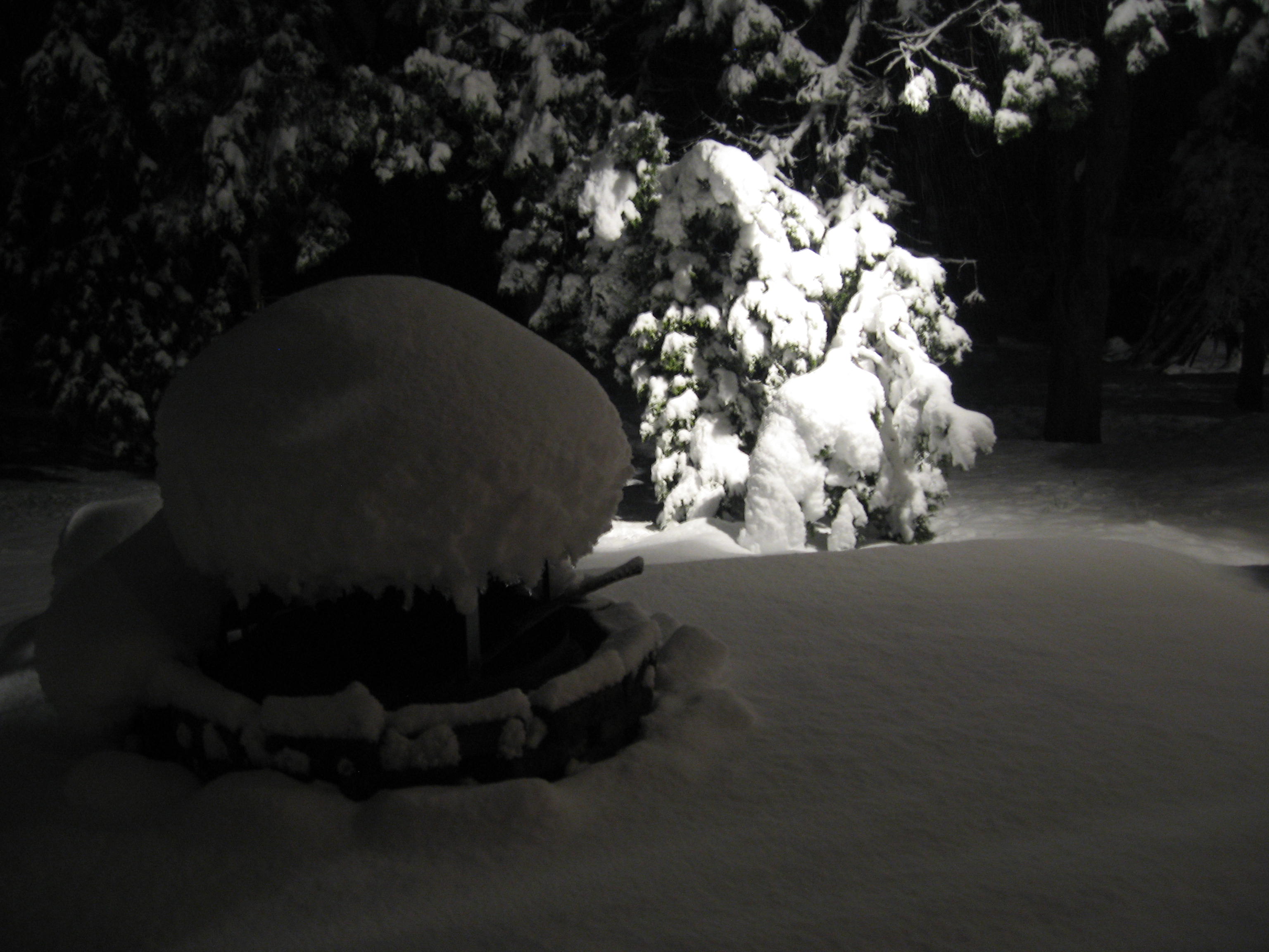 10.02.11 cedar hill snow scenes 061